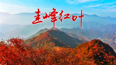 【登山| 秦岭秋•圭峰红叶】10月  登尖山 赏红叶 圭峰山上一览秦岭秋意浓 1日游