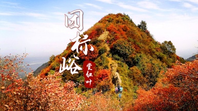 【登山| 秦岭秋•团标峪红叶季】11月6/8日 秦岭秋色 团标峪秋景红叶 P型小穿 1日