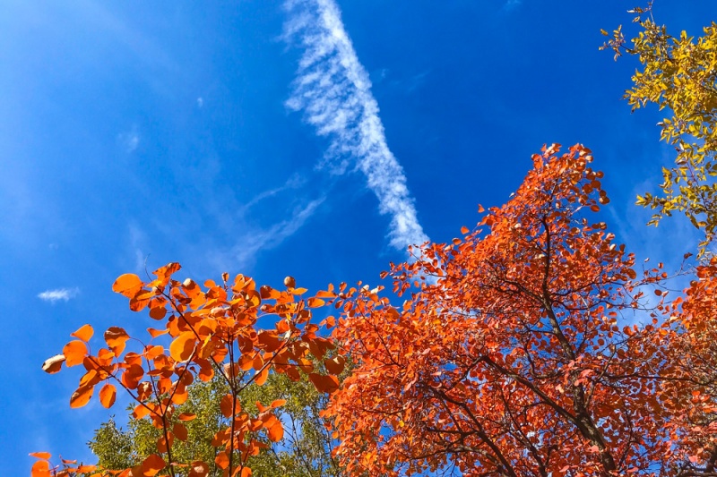 翠华山 秋 翠华山 秋
