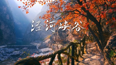 【泾河峡谷 秋韵赏红叶】11月 门票特价 陕西世界遗产地 郑国渠泾河峡谷 秋韵赏红叶1日