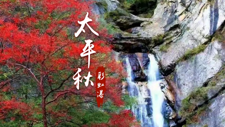 太平森林公园-秋-封面
