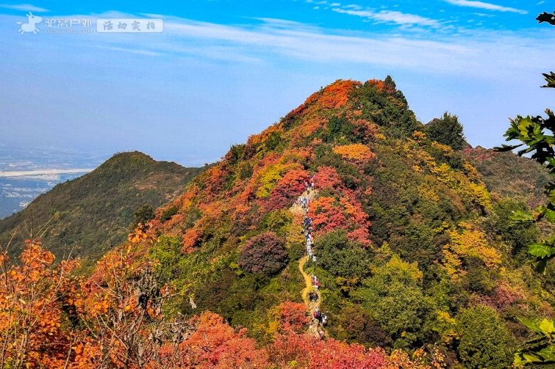 团标峪红叶 团标峪红叶