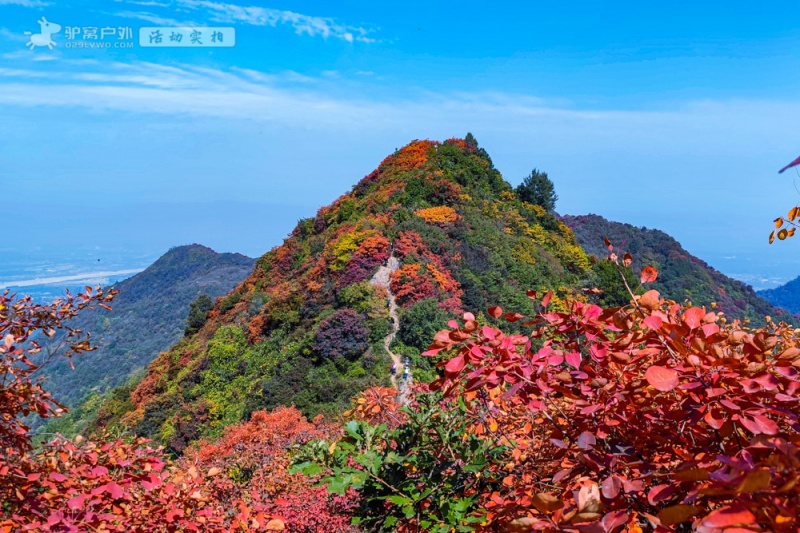 团标峪红叶 团标峪红叶