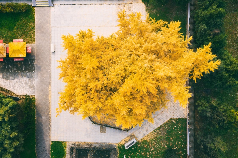 楼观台 (13)