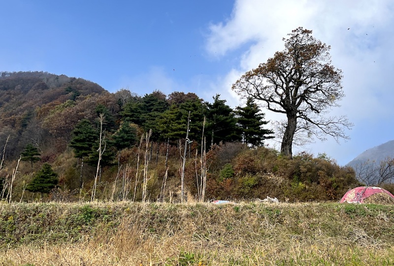 涝峪凤凰山