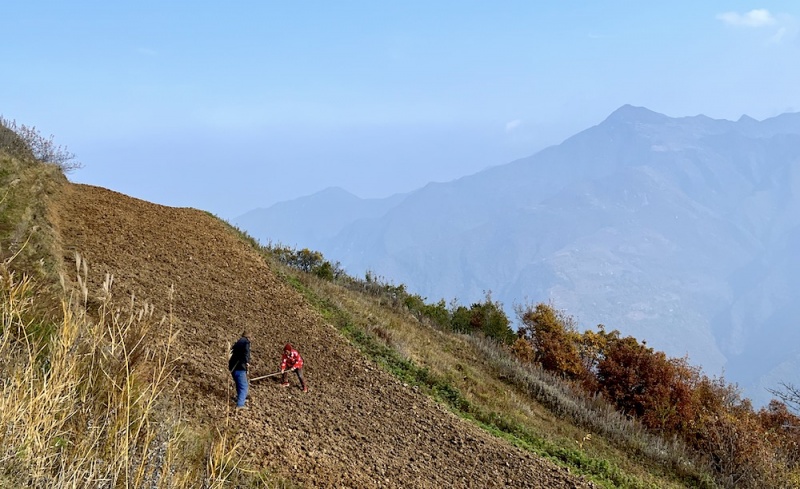 涝峪凤凰山