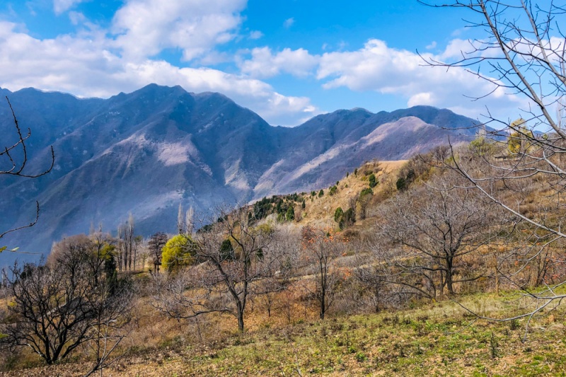 黑虎咀 梨辕坪 空中村落