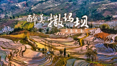 【七彩云南•醉美撒玛坝】12月 行摄撒玛梯田 东川红土地 乃古石林 阿庐古洞 城子古村 蒙自 建水古城 7日行