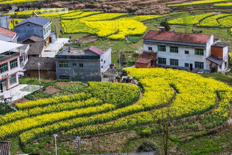 凤堰梯田