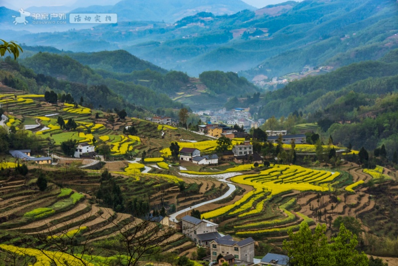 凤堰梯田