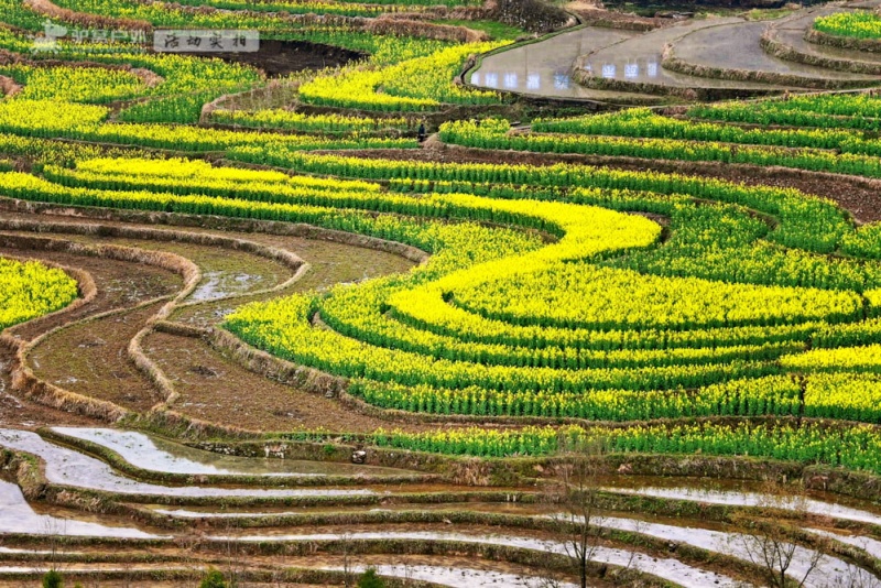 凤堰梯田