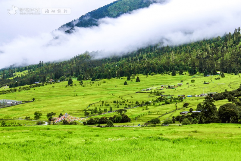 通麦.路景