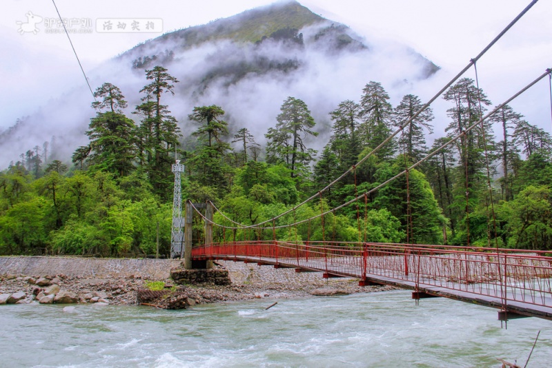 墨脱.路景