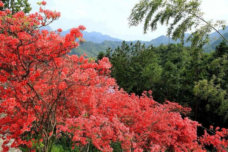 天峡风景区