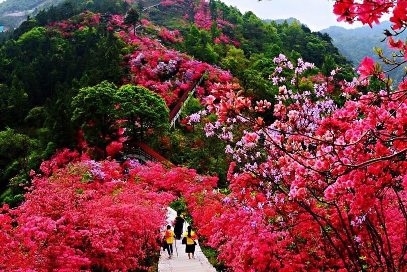 天峡风景区