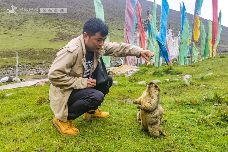 莫斯卡