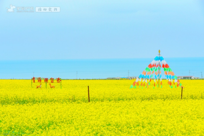 青海湖骑行