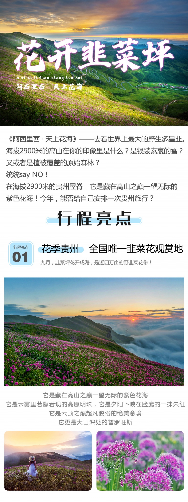 韭菜坪-亮点图-统一模板-1