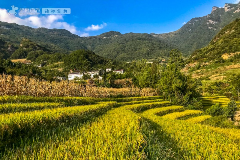 凤堰梯田 秋