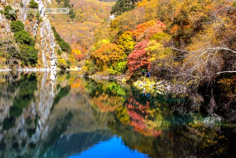 松坪沟