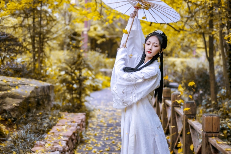 妥乐银杏