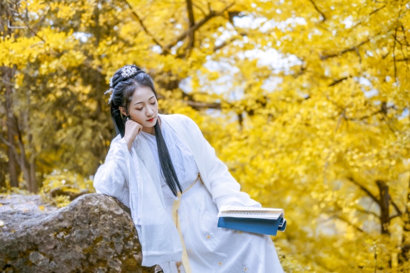 妥乐银杏