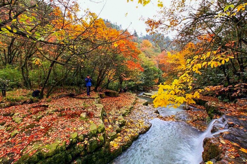 小草坝风景区