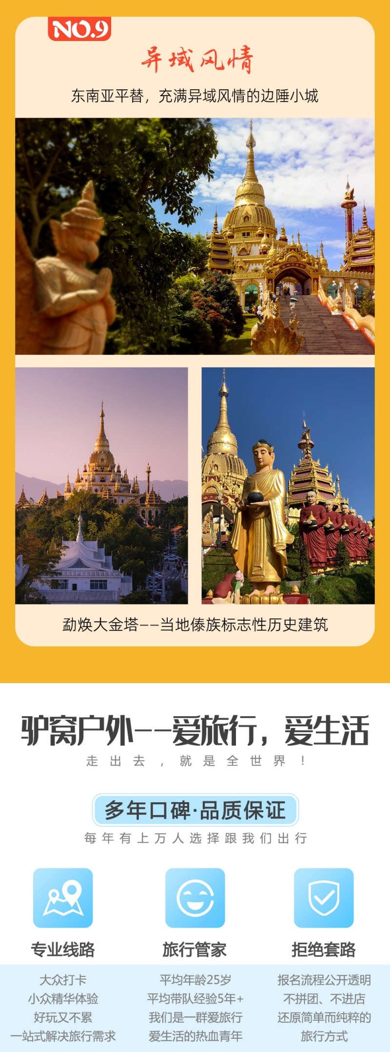 滇西南-腾冲银杏-亮点图-2023-9