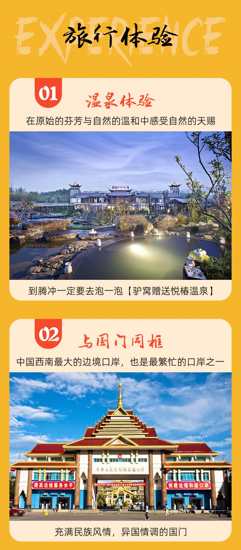 滇西南-腾冲银杏-亮点图-2023-2