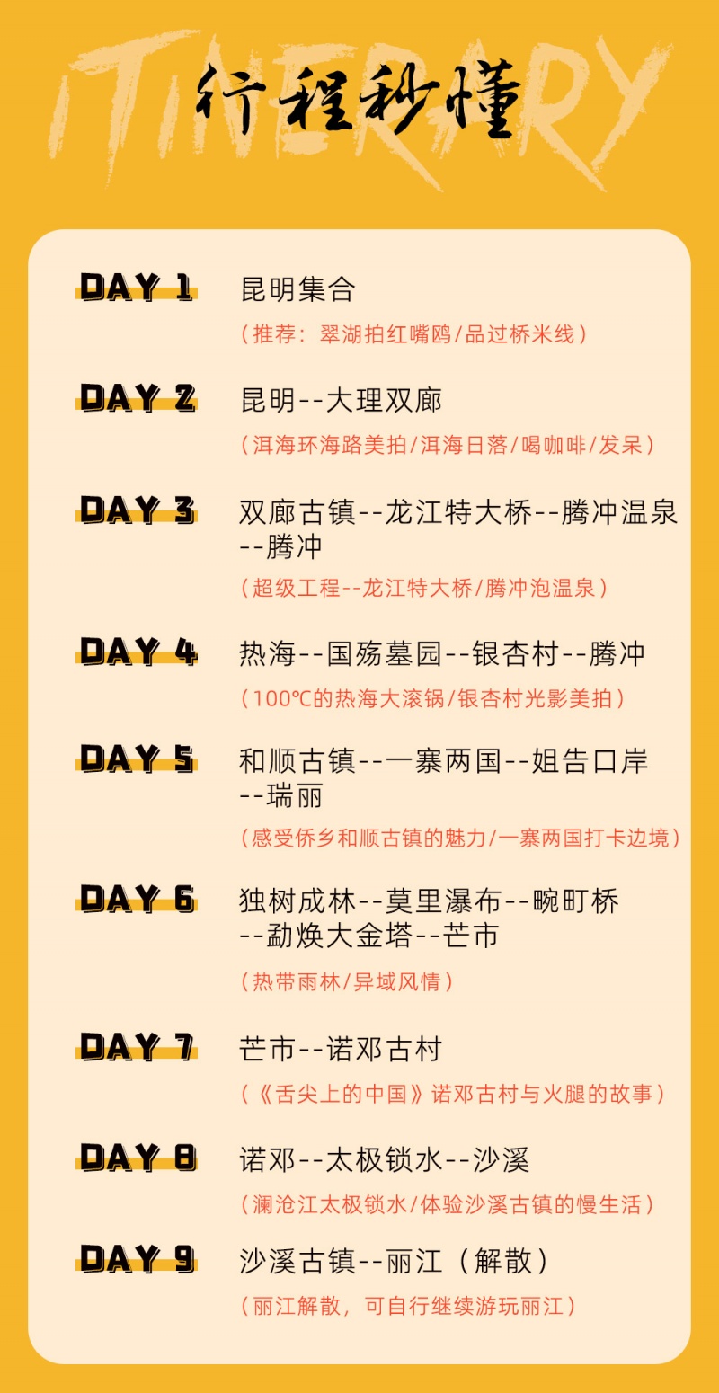滇西南-腾冲银杏-亮点图-2023-4