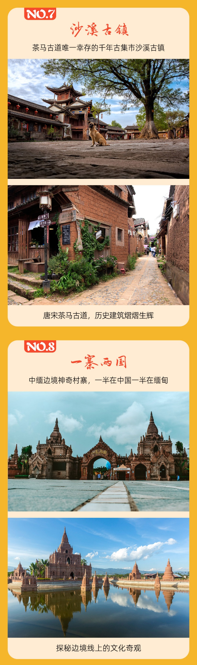 滇西南-腾冲银杏-亮点图-2023-8
