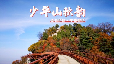 【限时免门票| 少华山秋韵】11月8日 最后一周 多彩秦岭 少华山秋韵 感受悬崖玻璃栈道 1日游
