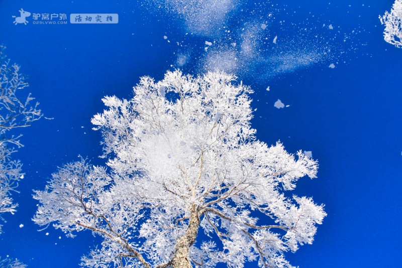 老里克湖