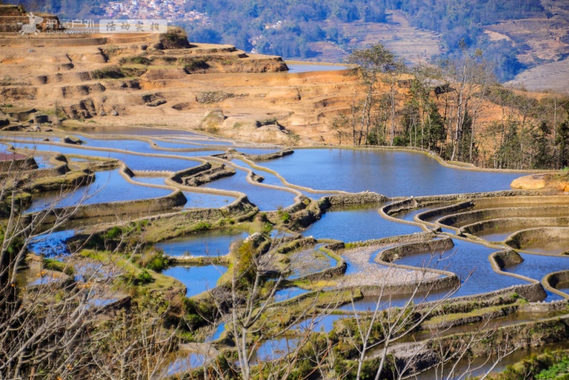 元阳梯田