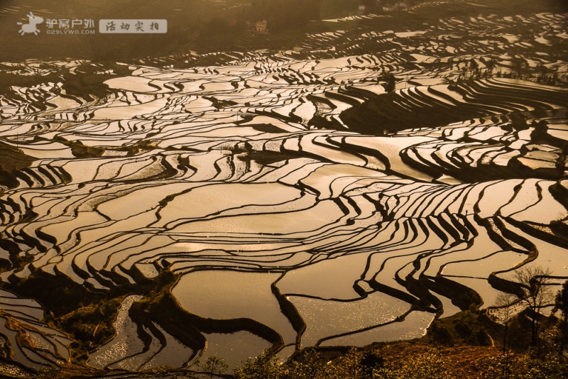 元阳梯田