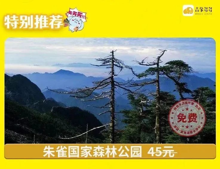 2024亲子年票
