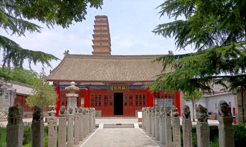 蒲城博物馆