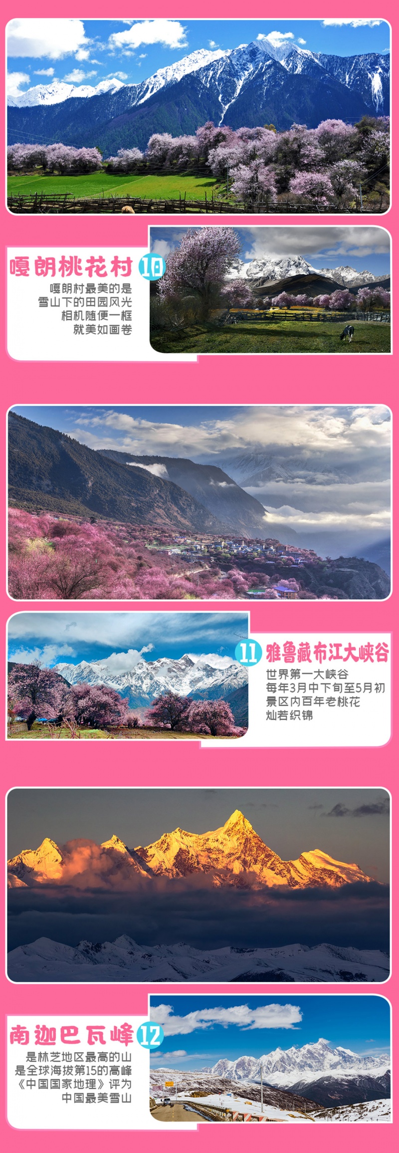 林芝桃花节-2024改1-6