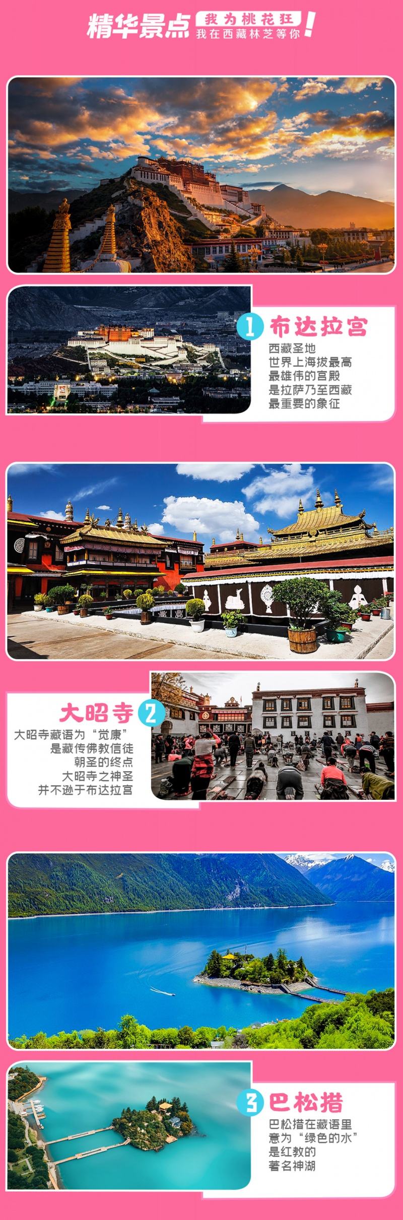 林芝桃花节-2024改1-3
