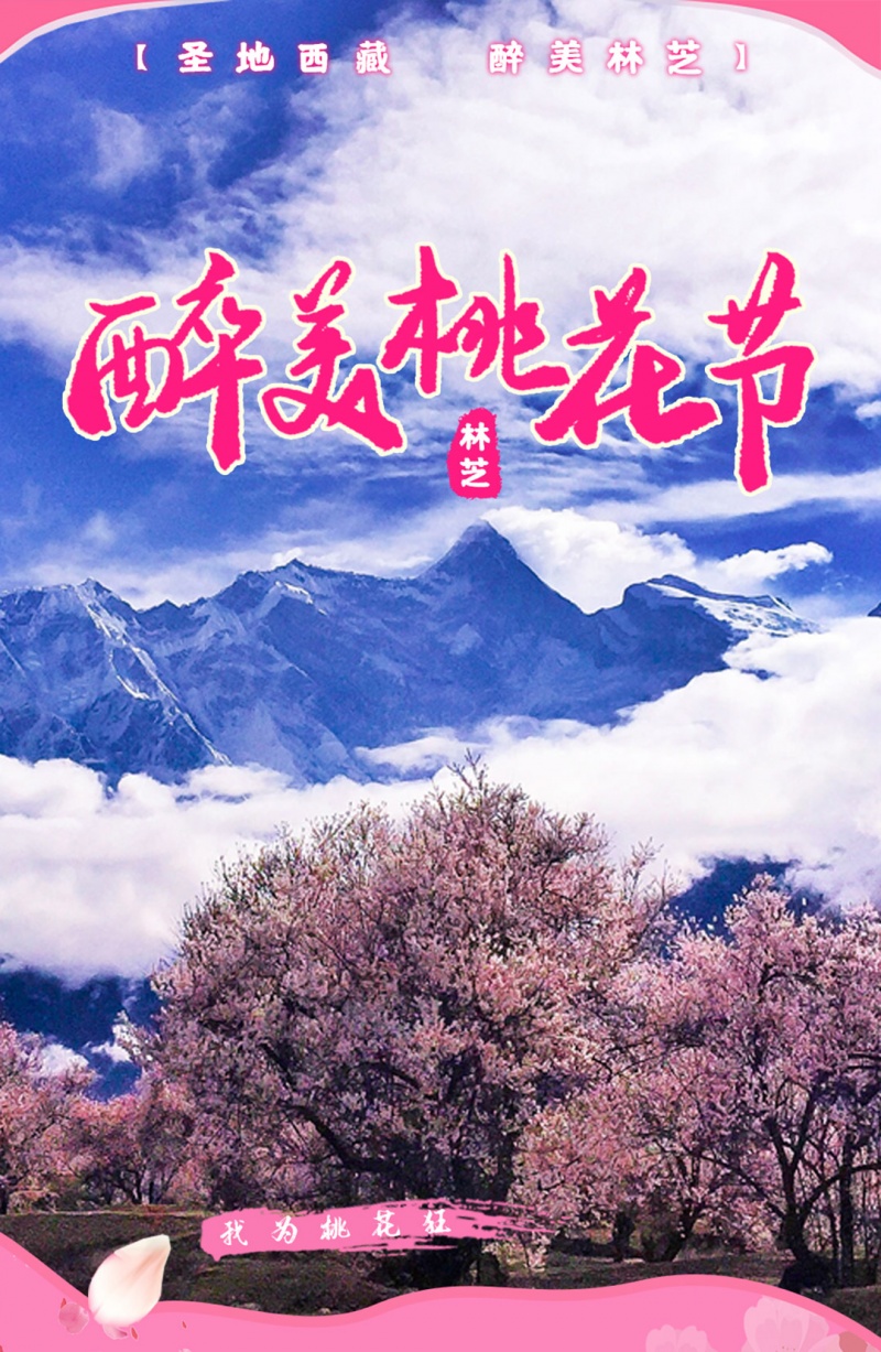 林芝桃花节-2024改1-1