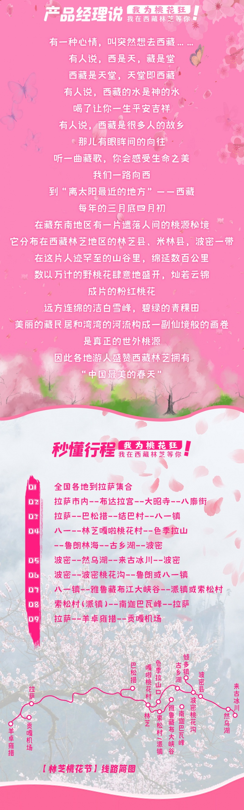 林芝桃花节-2024改1-2