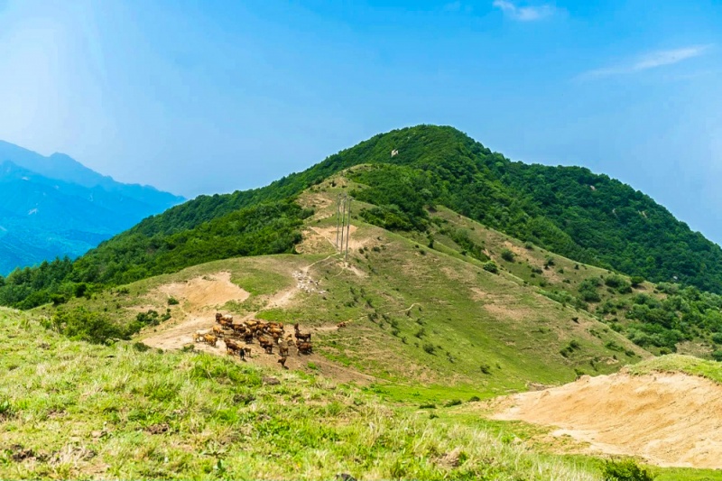 刘家山草甸