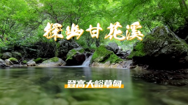【登山| 探幽甘花溪】6月26/28日 探幽大峪甘花溪 登高大峪草甸 1日游