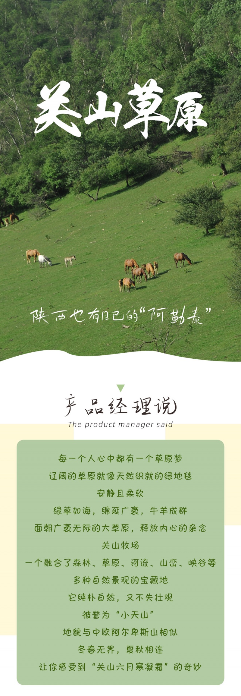关山草原-亮点图-2024-1