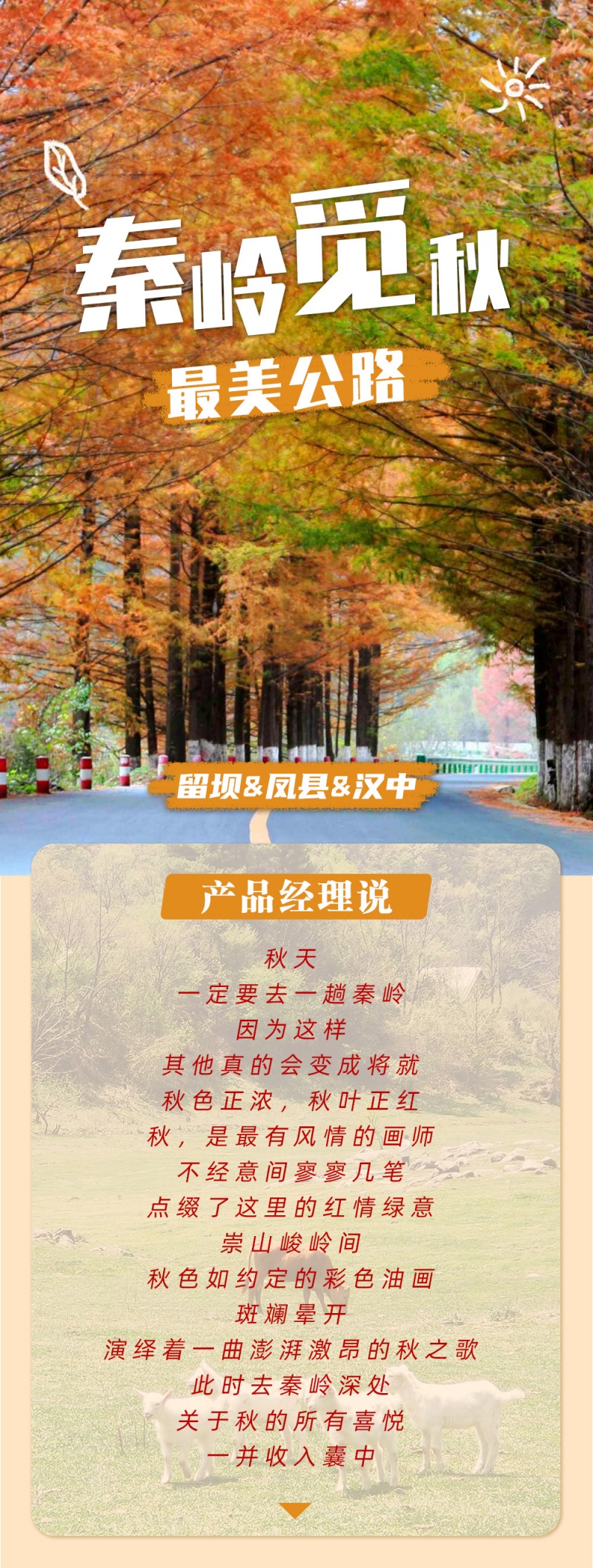 秦岭觅秋-4D-2024改1-1
