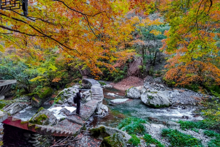 千层河 秋