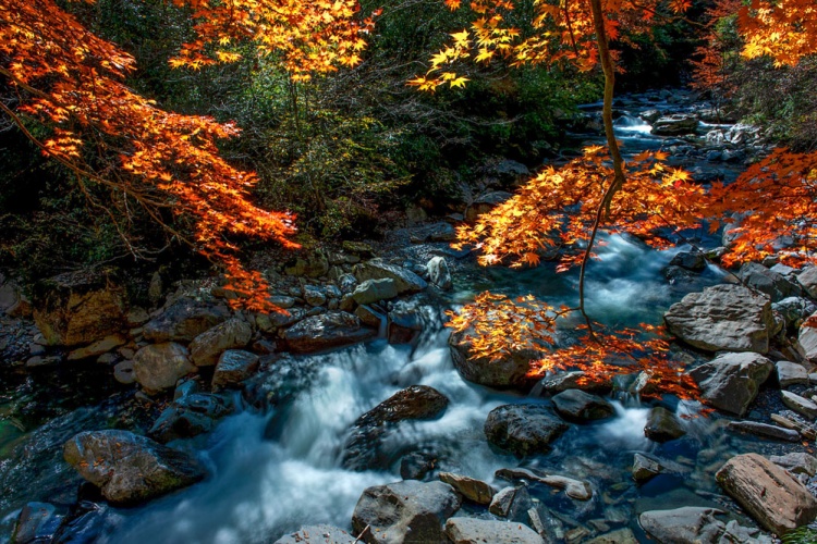 千层河 秋