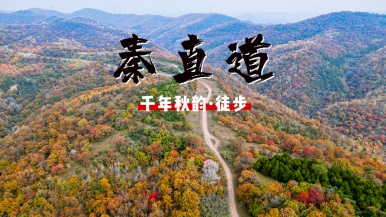 【徒步| 千年秦直道秋韵】10月 探秘2000年前的“高速公路”-秦直道 走进色彩斑斓的秋色 1日
