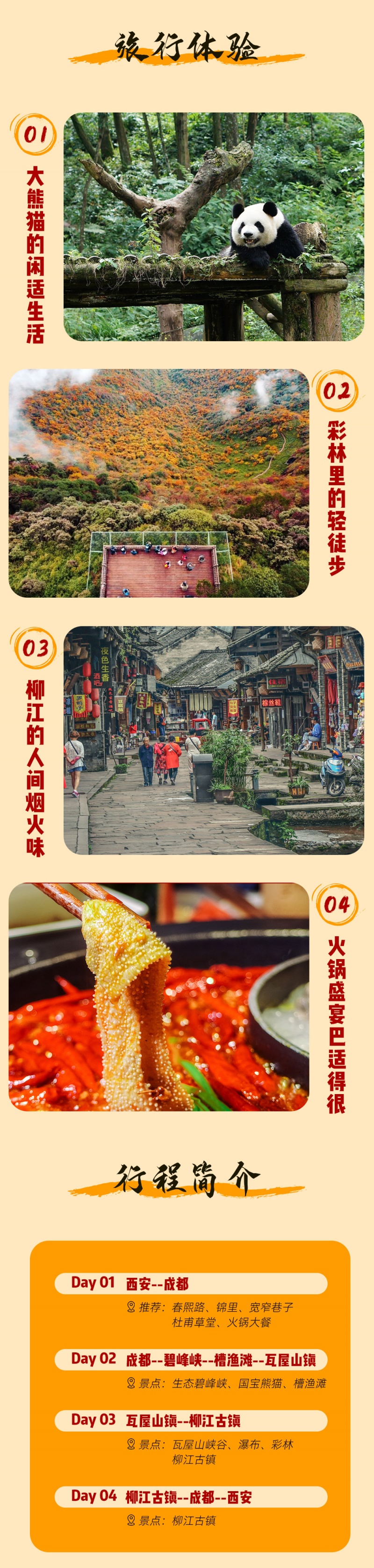 巴蜀秋色-瓦屋山彩林季-亮点图-2024-2