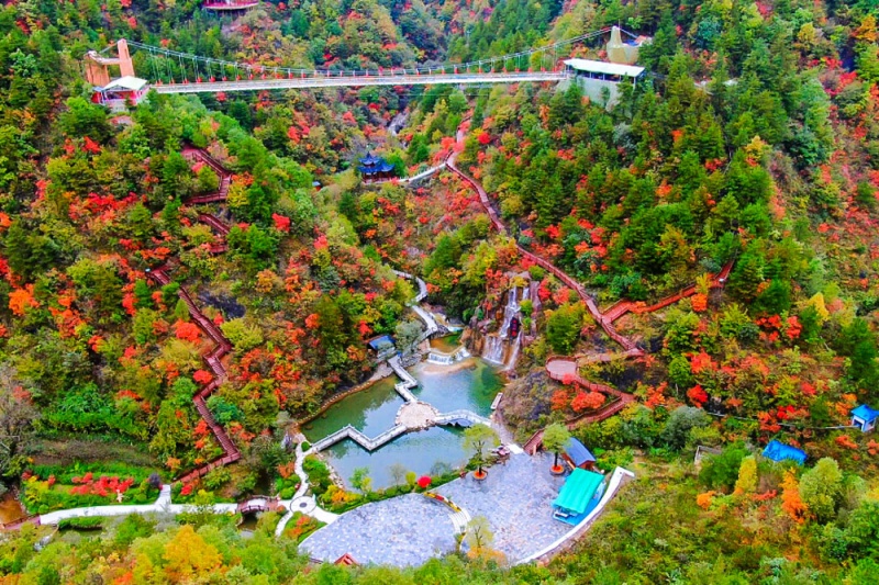 江山 秋 江山 秋